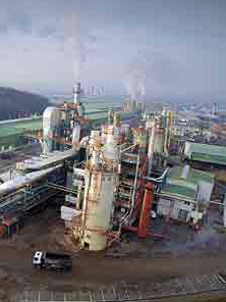 wood processing 