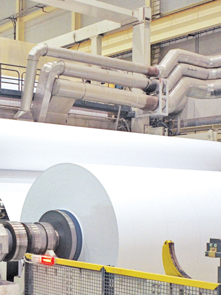 pulp paper